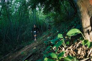 BIB: 
                            <button type="button" onclick="openModal(28124642)" class="btn btn-primary btn-sm float-right btn-popup" data-toggle="modal" data-target=".modal-high-quality">
                        <i class="fas fa-shopping-cart"></i> Add to Cart
                    </button>
                                            <button type="button" onclick="isThisMe(28124642, true)" class="btn btn-success btn-sm float-right btn-popup btn-isme hidden" data-toggle="tooltip" data-placement="bottom" title="นี่คือรูปของคุณใช่ไหม คลิกที่นี่เพื่อเอาเข้าอัลบั้ม">
                        <i class="fas fa-plus"></i> Add to album
                    </button>
                    <button type="button" onclick="isThisMe(28124642, false)" class="btn btn-warning btn-sm float-right btn-popup btn-isnotme hidden">
                        <i class="fas fa-ban"></i> Remove from album
                    </button>